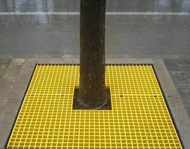 ظ